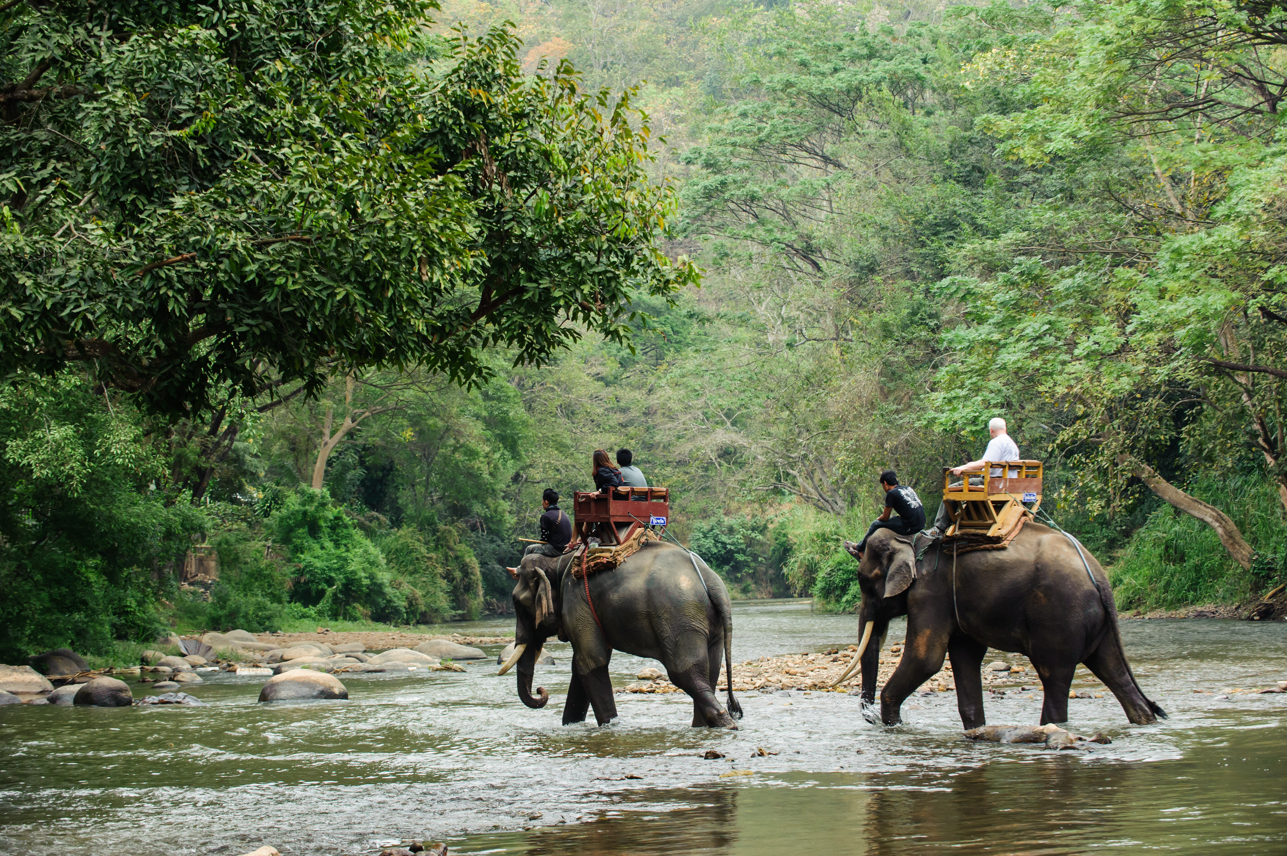 12 daagse groepsrondreis Beleef Thailand Afbeelding